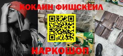 крисы Кингисепп