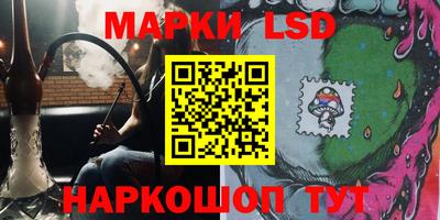 крисы Кингисепп