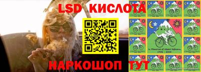 крисы Кингисепп