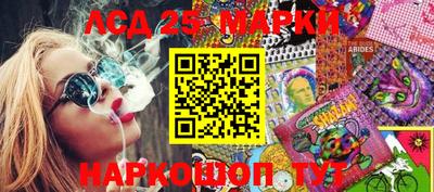 крисы Кингисепп