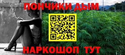 крисы Кингисепп