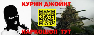 крисы Кингисепп