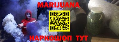 крисы Кингисепп