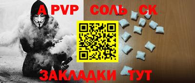 крисы Кингисепп