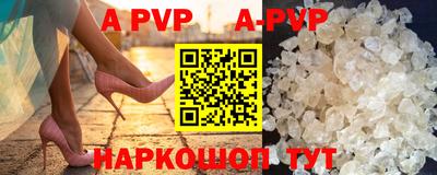 крисы Кингисепп