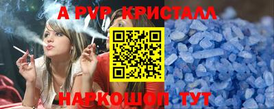 крисы Кингисепп