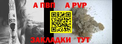крисы Кингисепп