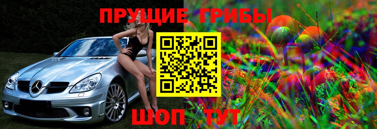 Псилоцибиновые грибы GOLDEN TEACHER Коряжма